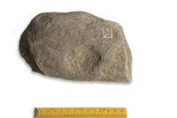 F 00067
<br/>
<br/>
<em></em>